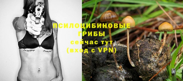 таблы Рославль