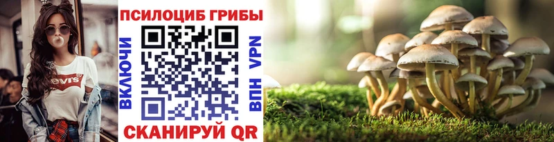 купить наркоту  Сусуман  Псилоцибиновые грибы мицелий 